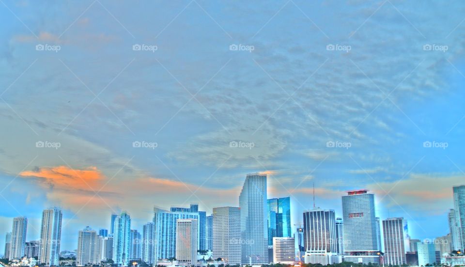 Miami skyline 