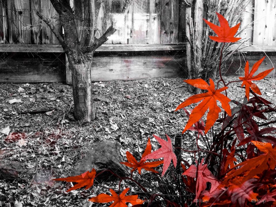 On both sides of window 