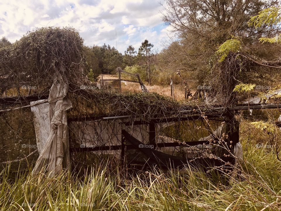 Hawthorne Nursery urbex abandoned