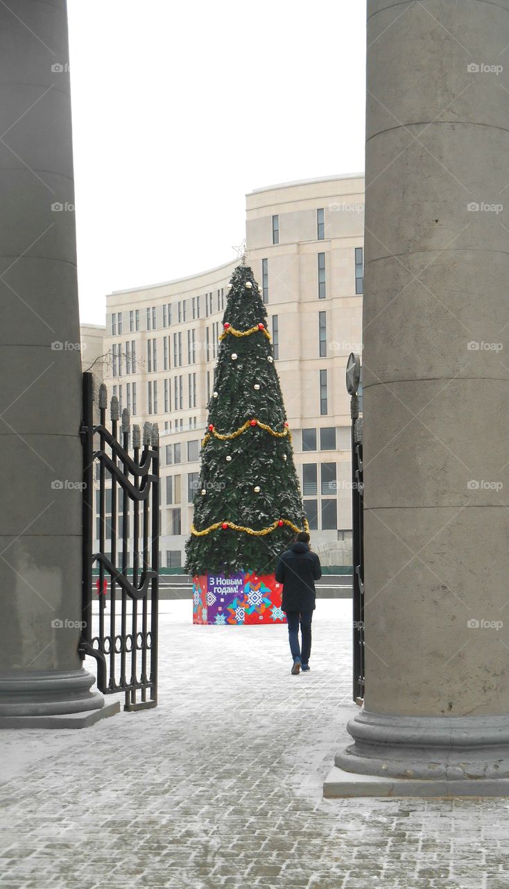 City, People, Street, Architecture, Winter