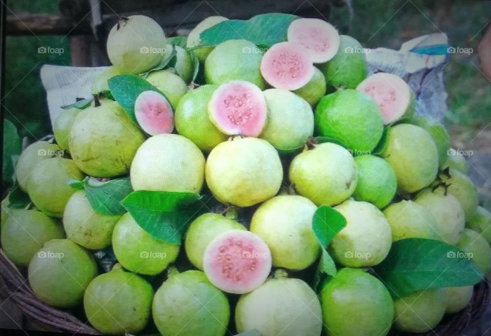 color of guava fruits