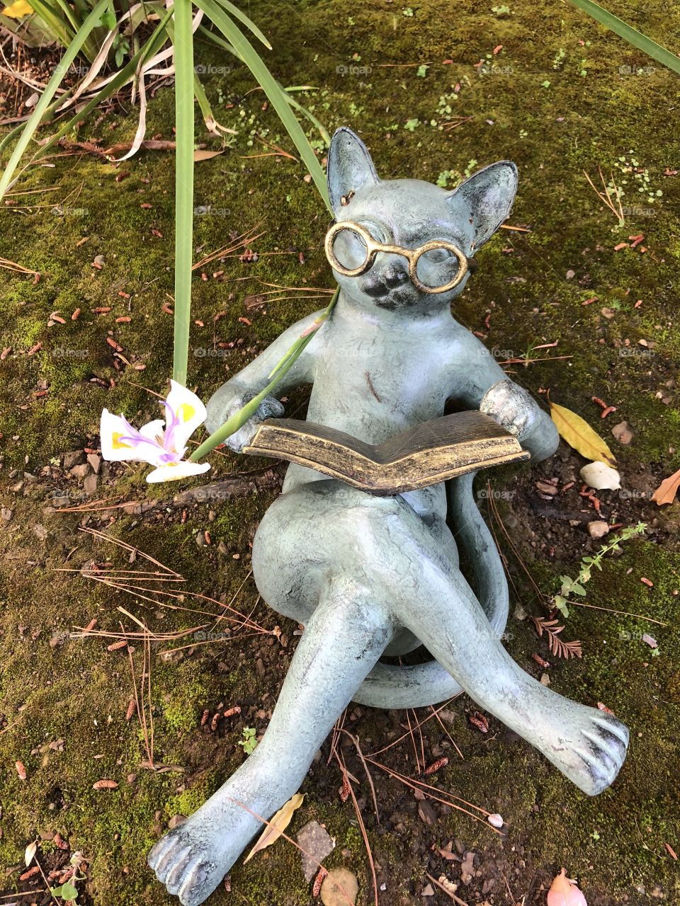 Statue of a cat reading 
