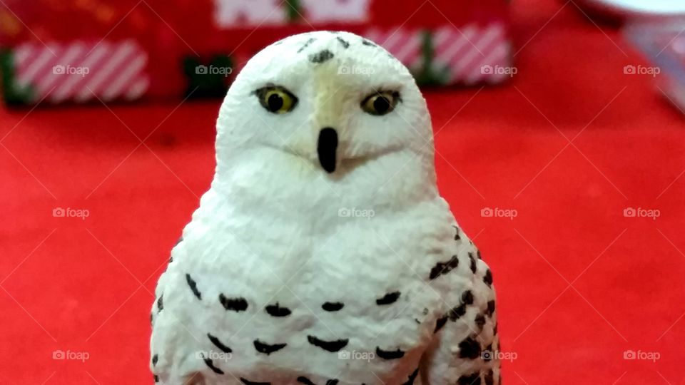 Holiday White Snow Owl