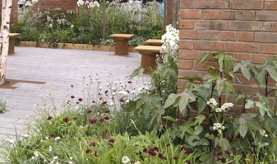 flowers garden path country by jamethyst