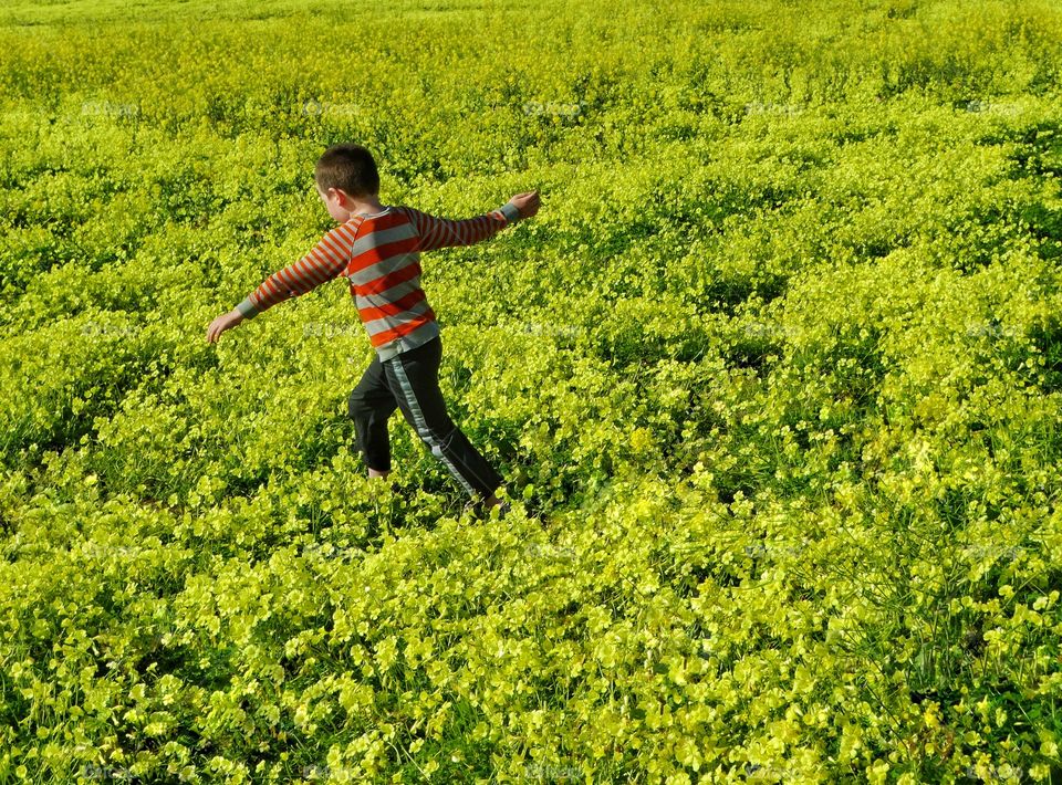 Boy Running Free In Wildflowers 