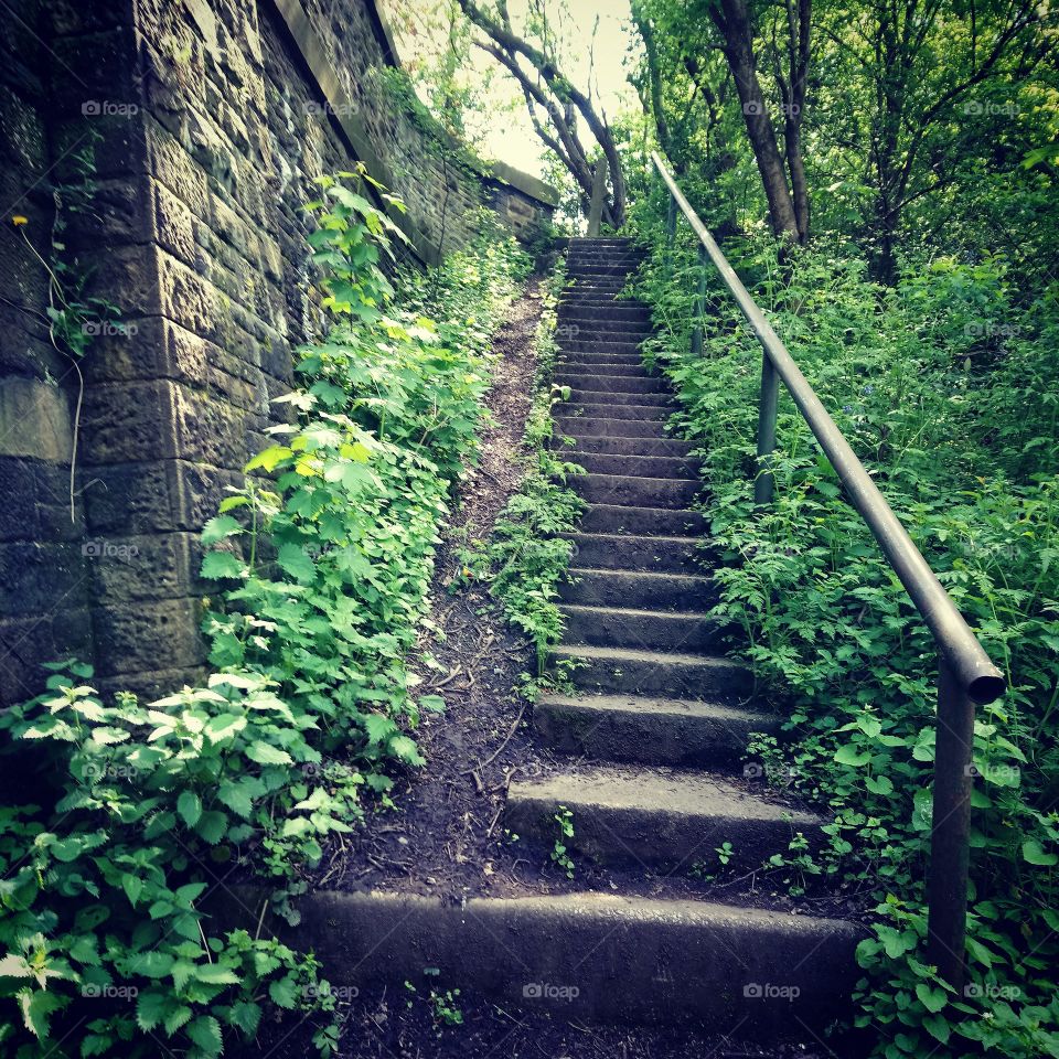 Stair way to the skies