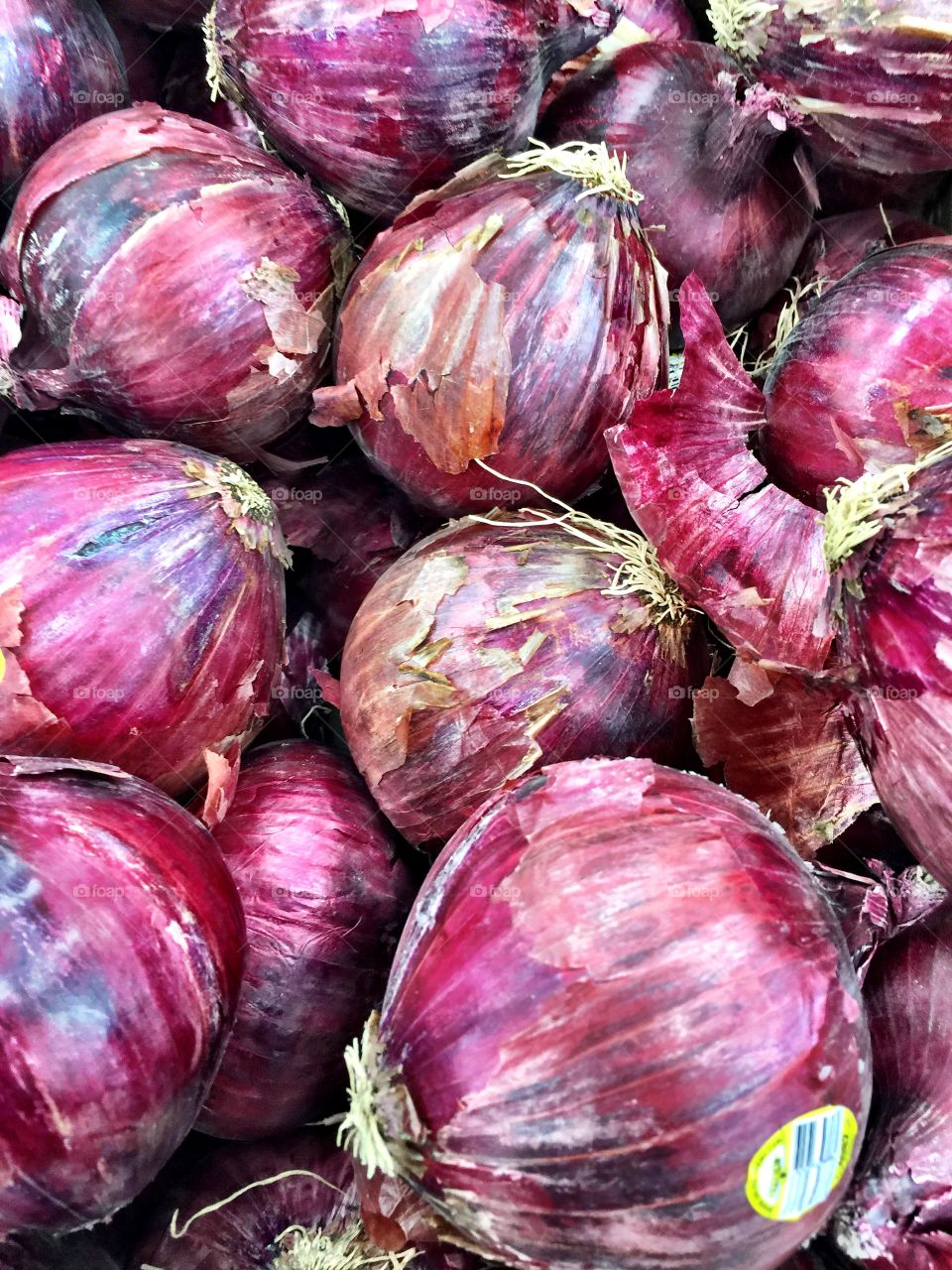 Fresh purple onions