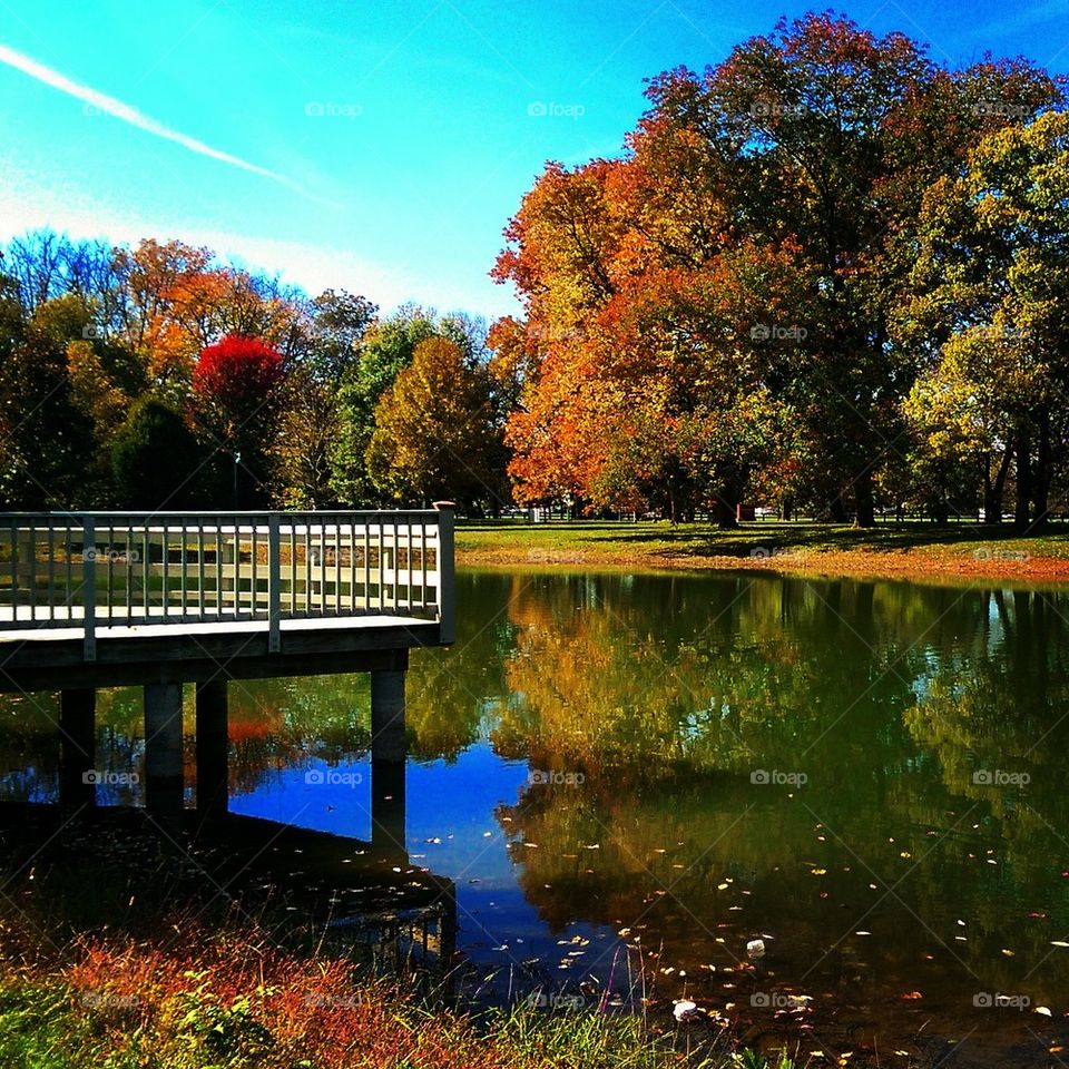 Autumn Reflection 