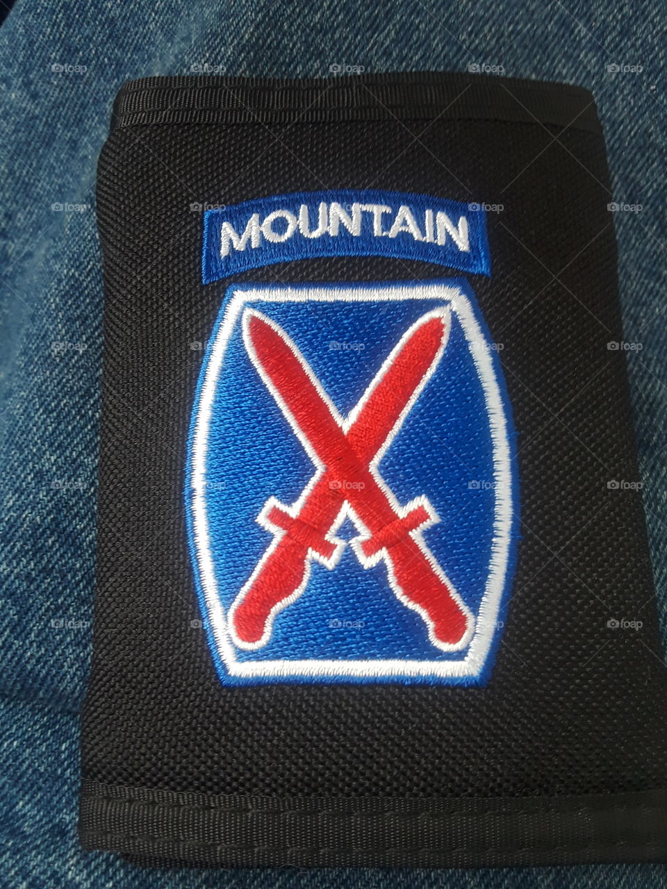 us army 10th mountain