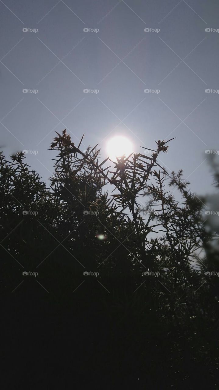 “It's not necessary. My nightmares are usually about losing you,” he says. “I'm okay once I realize you're here.