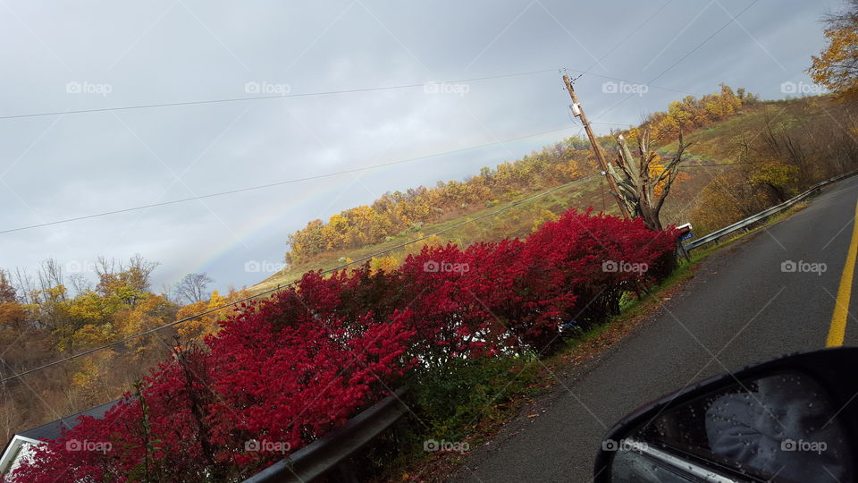 fall rainbow