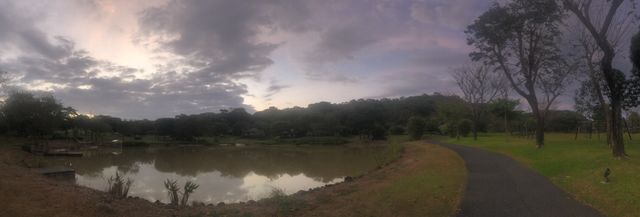 Pastel skies