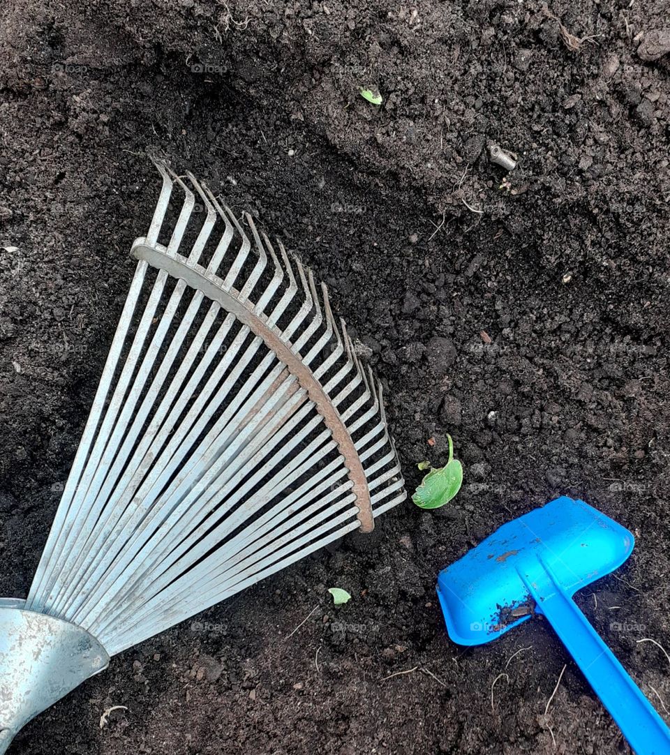 celebrating earth day