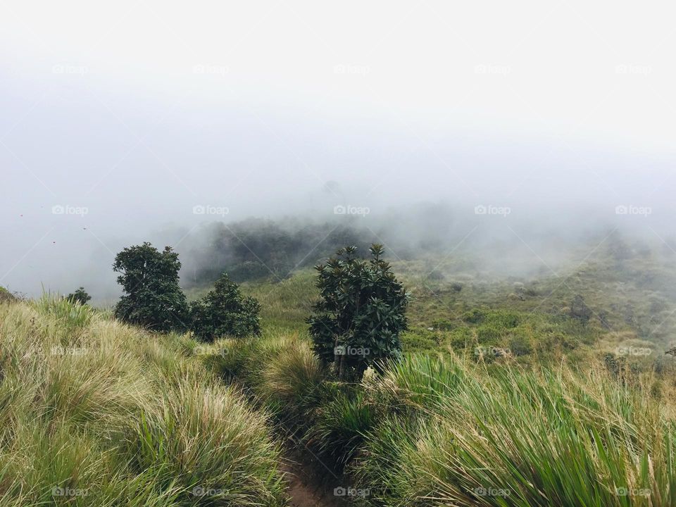 Mist often forms when warmer air over water suddenly encounters the cooler surface of land. 