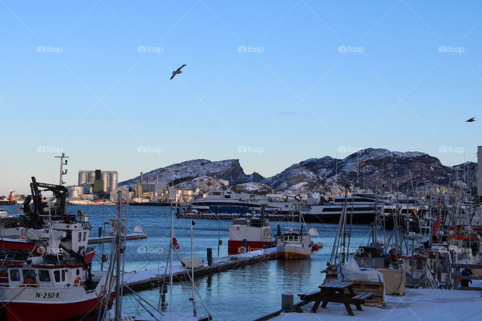 Bodø Hafen 