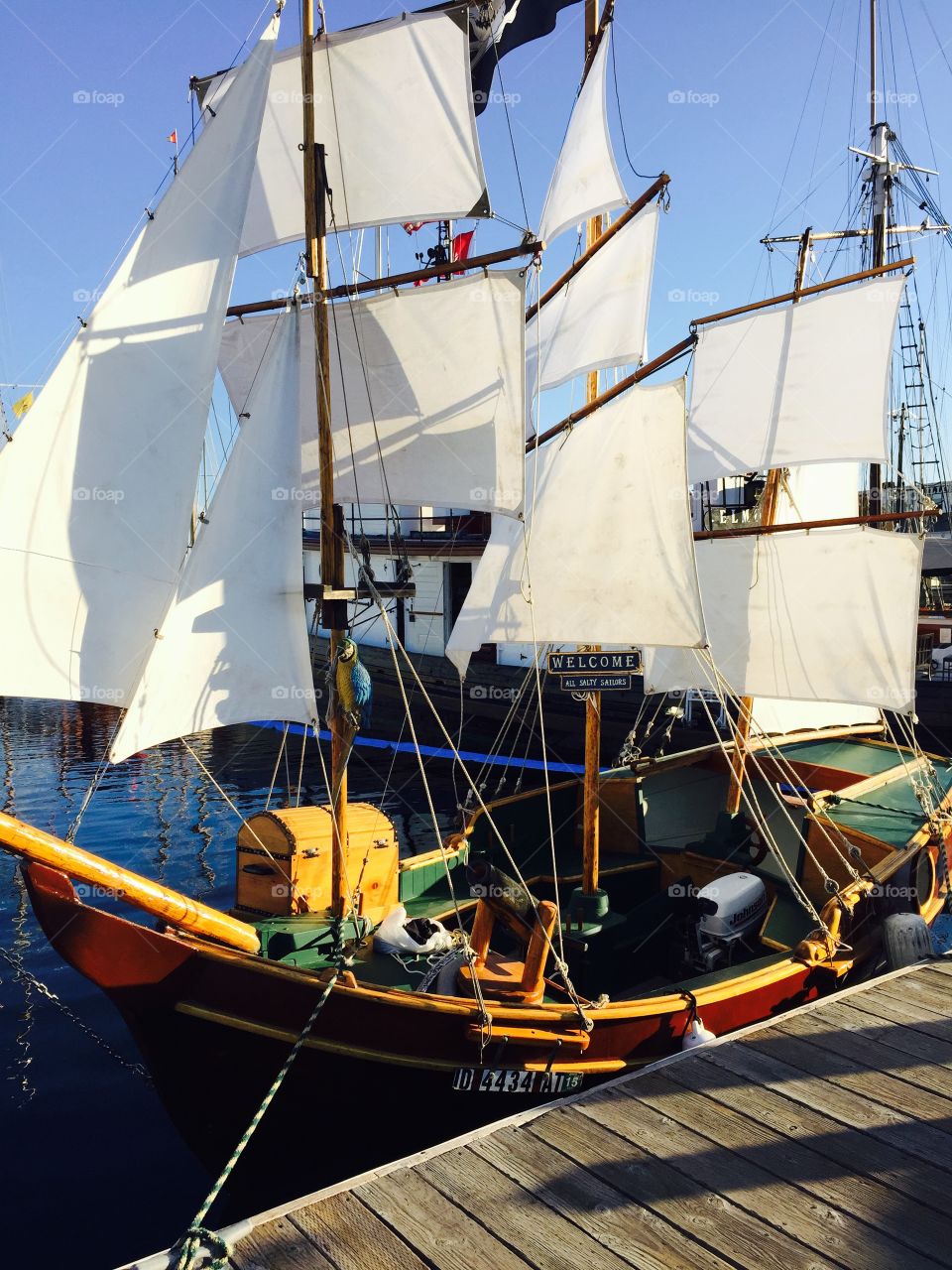 Port Townsend Marina Washington State Olympic Peninsula - the Largest Wooden Boat Festival on the West Coast many Sail Boats And Cabin Cruisers