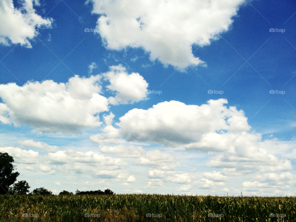 landscape sky field blue by tjduncan77