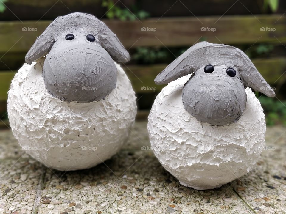 sheep art