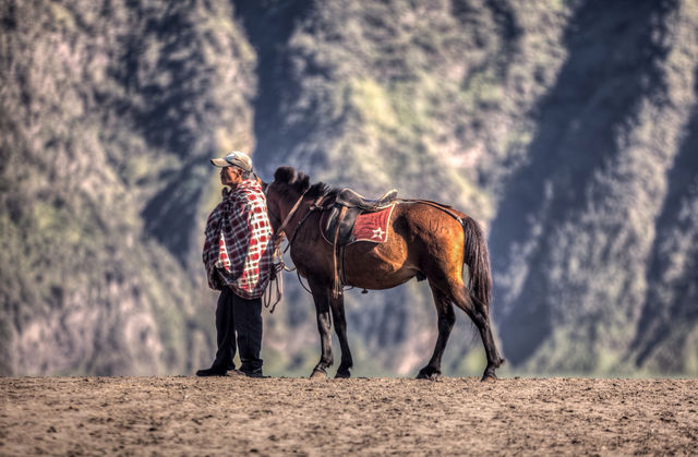 Horseman of bromo sands