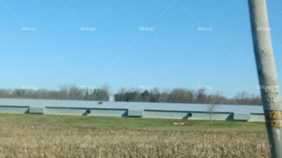 Agriculture, Farm, Landscape, No Person, Field