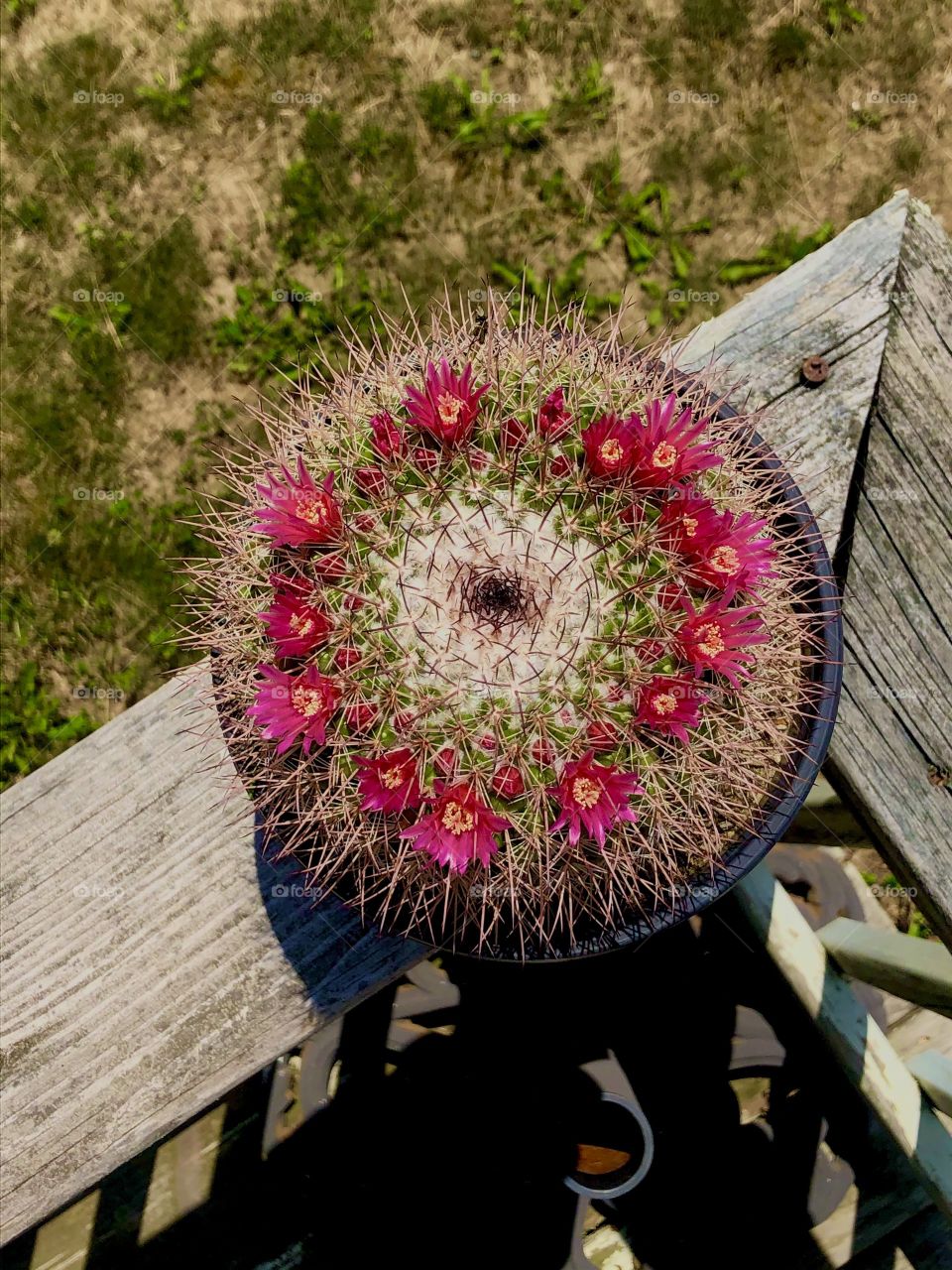 Photography started out as a hobby of mind and has grown into somewhat of a passion. I love sharing my work with others and I love that this platform allows photographers to receive praise and recognition for their work. I hope you enjoy my photos!