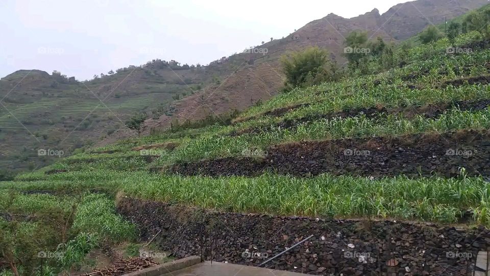 Glory be to God, the magnificent and picturesque view and the natural green trees are a view that is nothing more wonderful than it