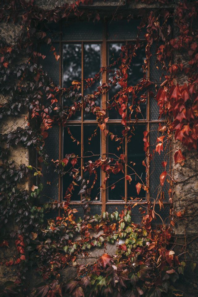 Autumn
