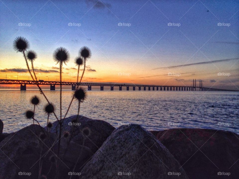 Sunset by the bridge