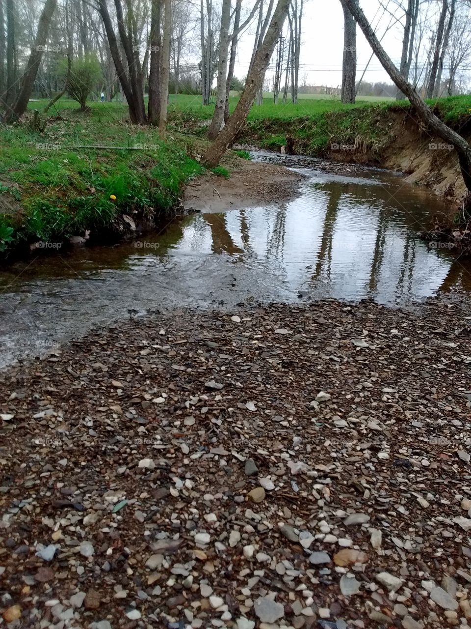 Creek bed stream