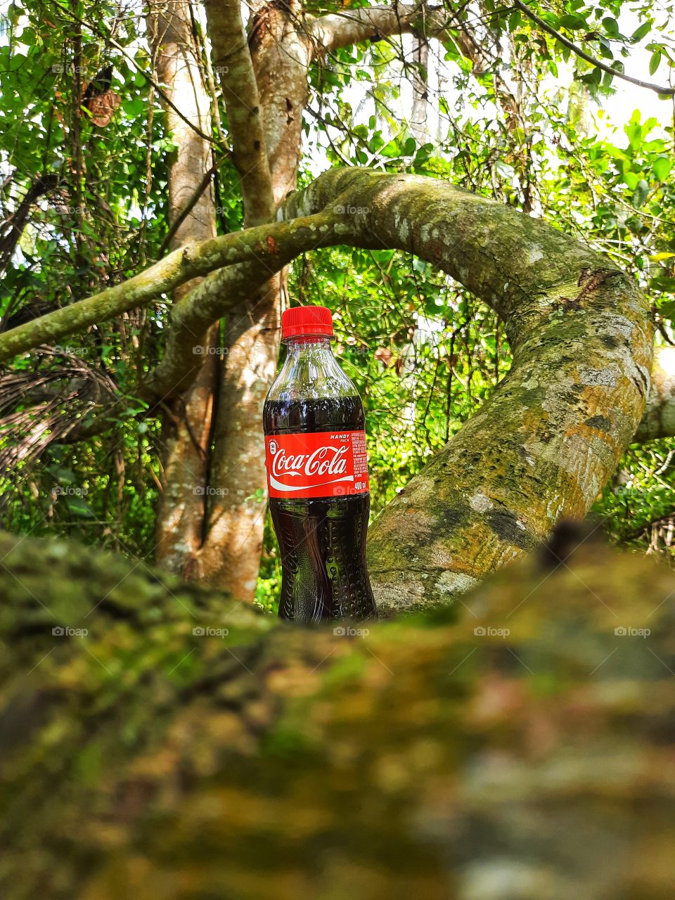 Beautiful Nature and Coca-Cola..