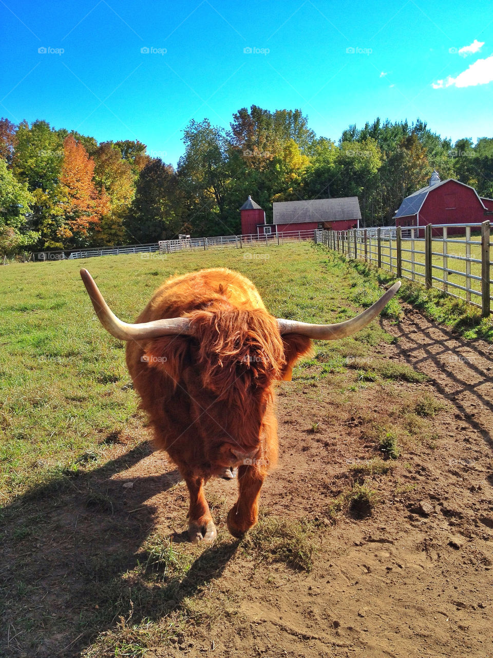 sky nature grass fence by somebeach