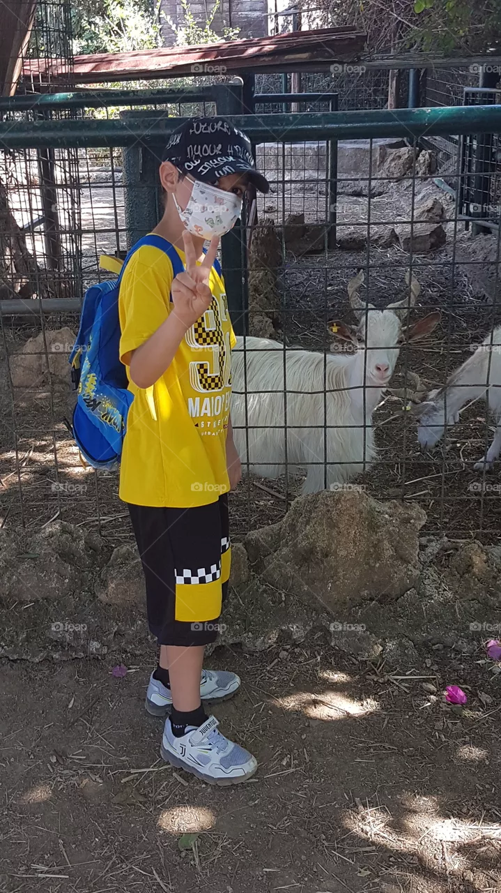 zoo
