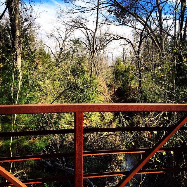 Wooded walk