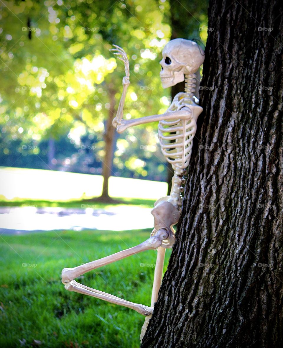 Lounging Skeleton on a Tree