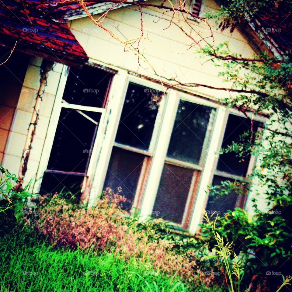 Abandoned House