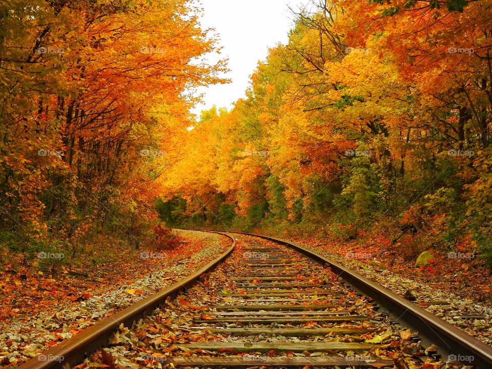 Beautiful fall day on the old railroad in Indiana 