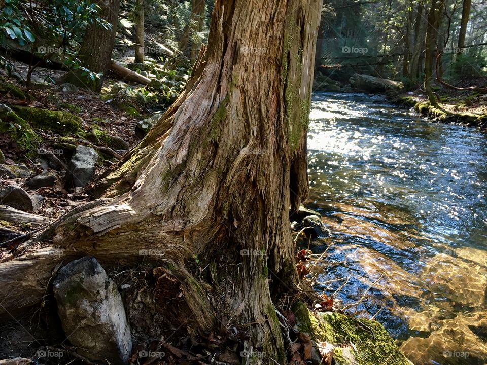 Hiking around Foster Falls in South Cumberland State  Park in Tennessee