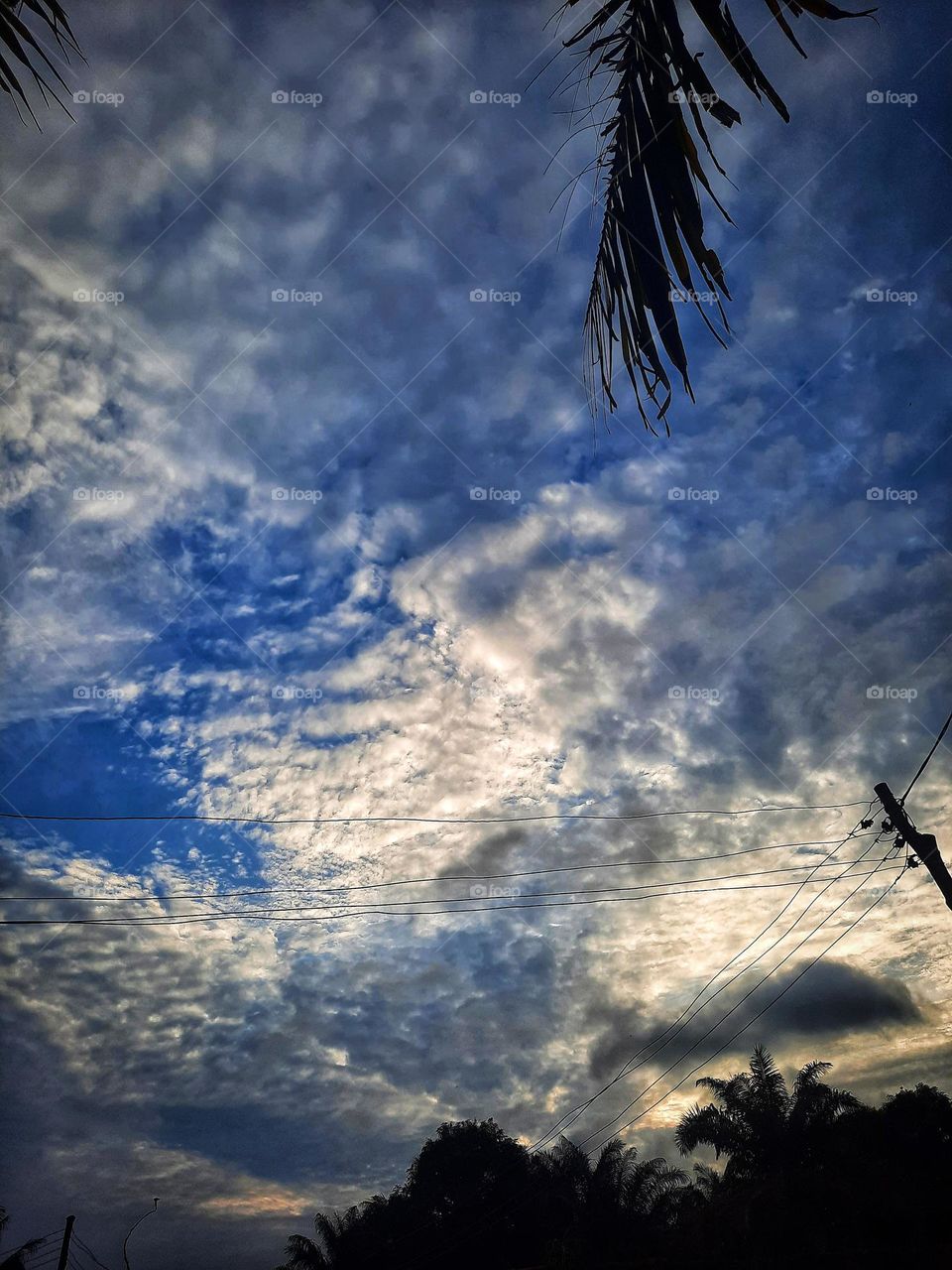 sky. cloud. Blue sky. dark cloud. palm branch. Pole. colourful