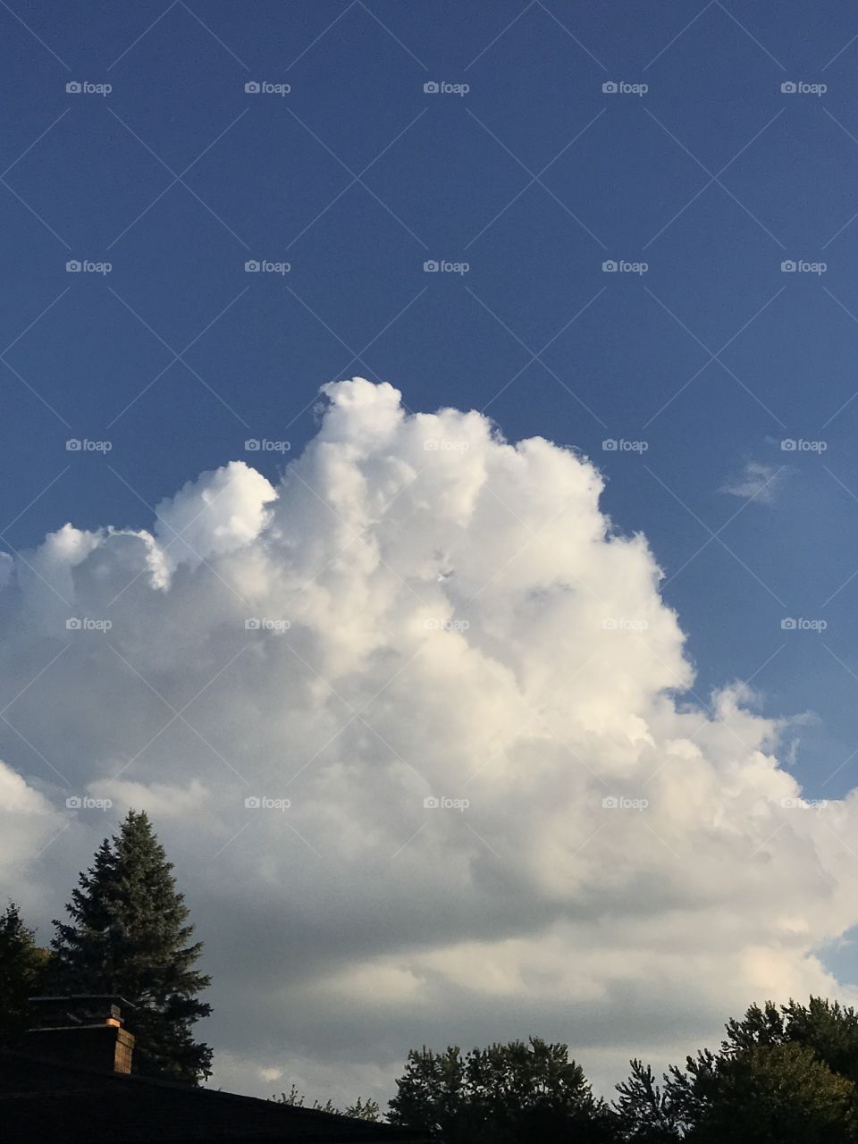 A beautiful white fluffy cloud