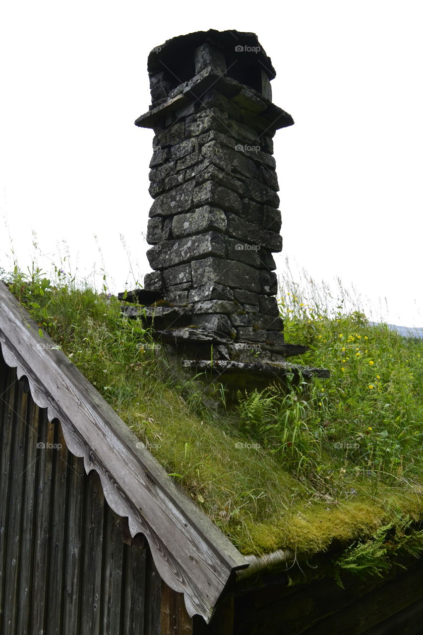 Turf roof