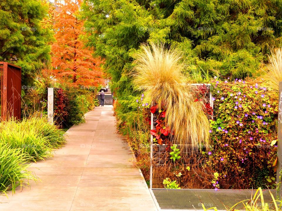 urban gardening