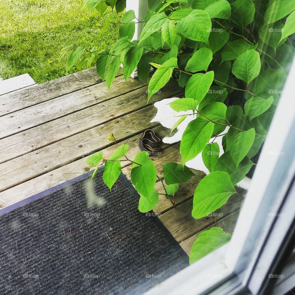 he brought me a present