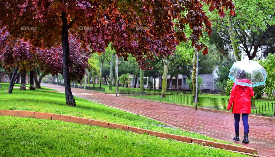 Walking through a park on a rainy day