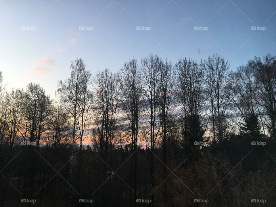 Sunrise above a forest this time with clouds