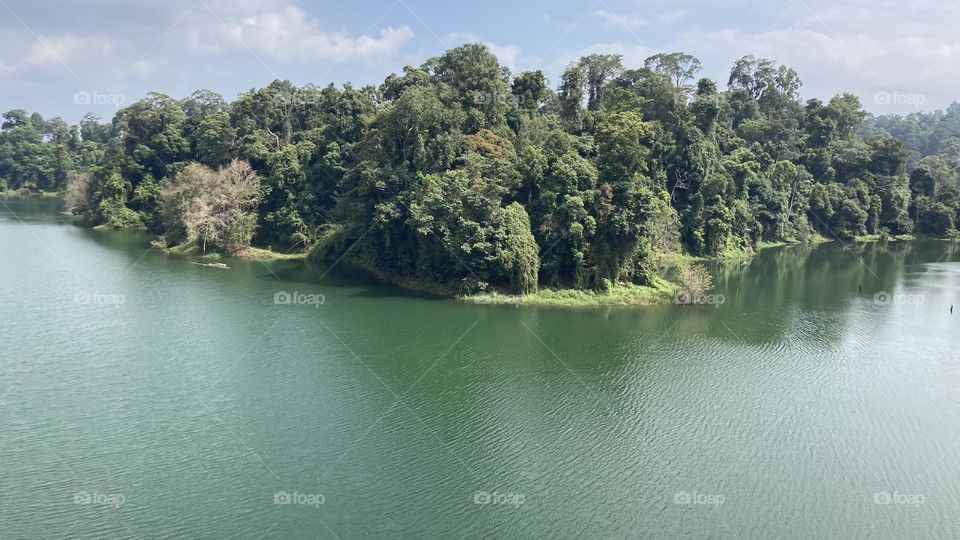 Beautiful view of a forest on the banks of a lake, Lake Kenyir, Malaysia 