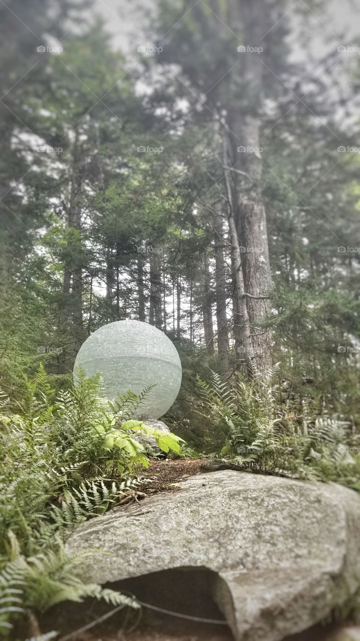 A glass orb tucked into to woods in Coastal Maine Boatanical Gardens in Boothbay Maine.