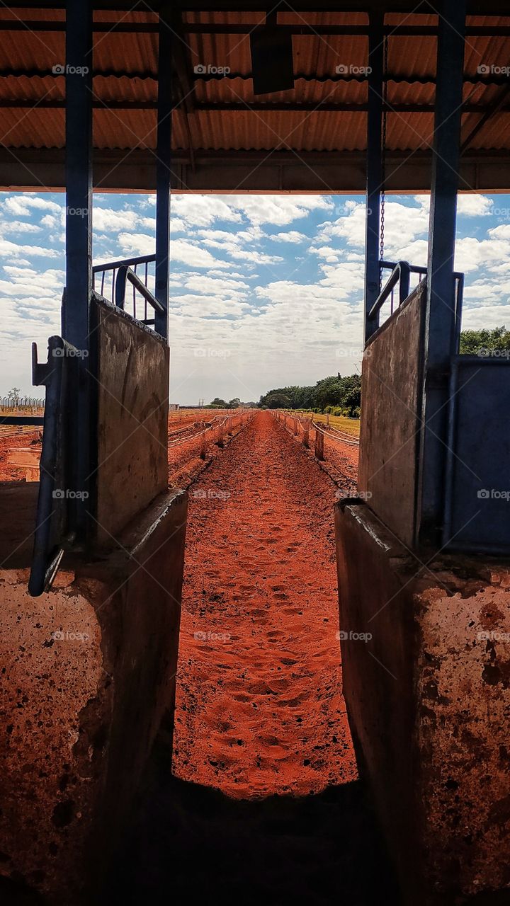 Hippodrome waiting for the horses to arrive