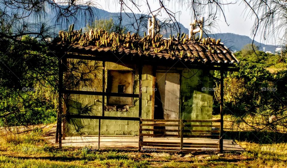 Indo para o treino no Recreio dos Bandeirantes me deparei com essa velha casinha com cactos no seu telhado ao entardecer.