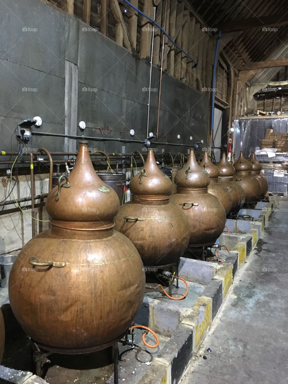 Distillery tour 