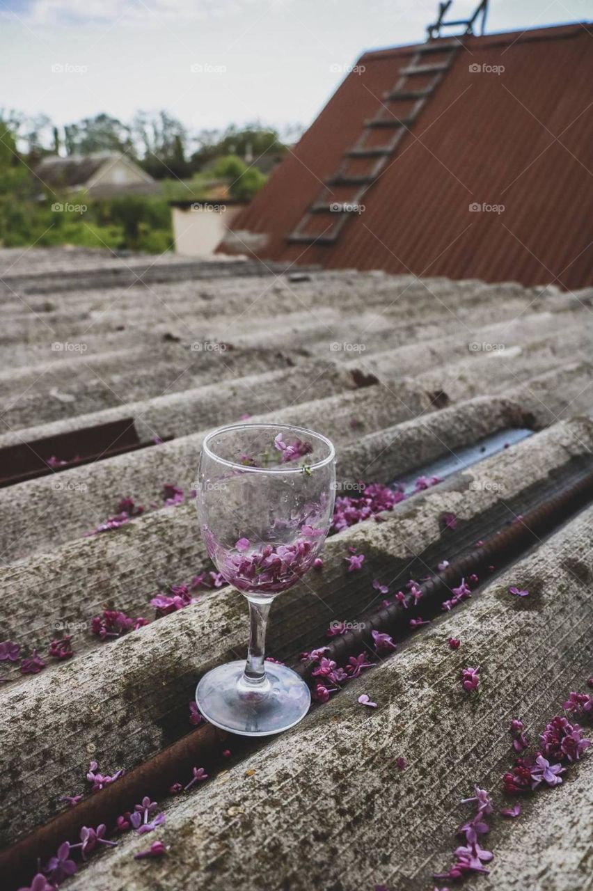 roof glass flowers